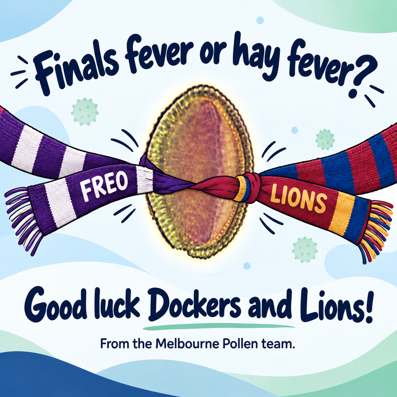 2026 AFL grand final