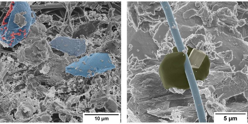 HIM_dirty_filter_zoom_square