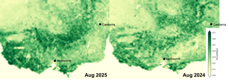 2025 Pollen Season Outlook Figure 2
