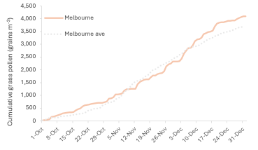 Figure 1: Melbourne cumulative grass pollen concentration (2025 season) compared with the five‑year average.