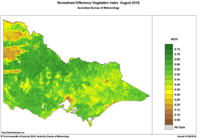 Vegetation Index