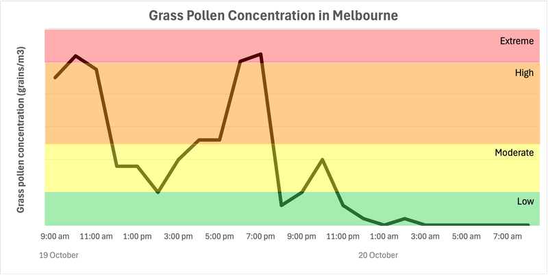 Grass pollen concentration Melbourne 20 October