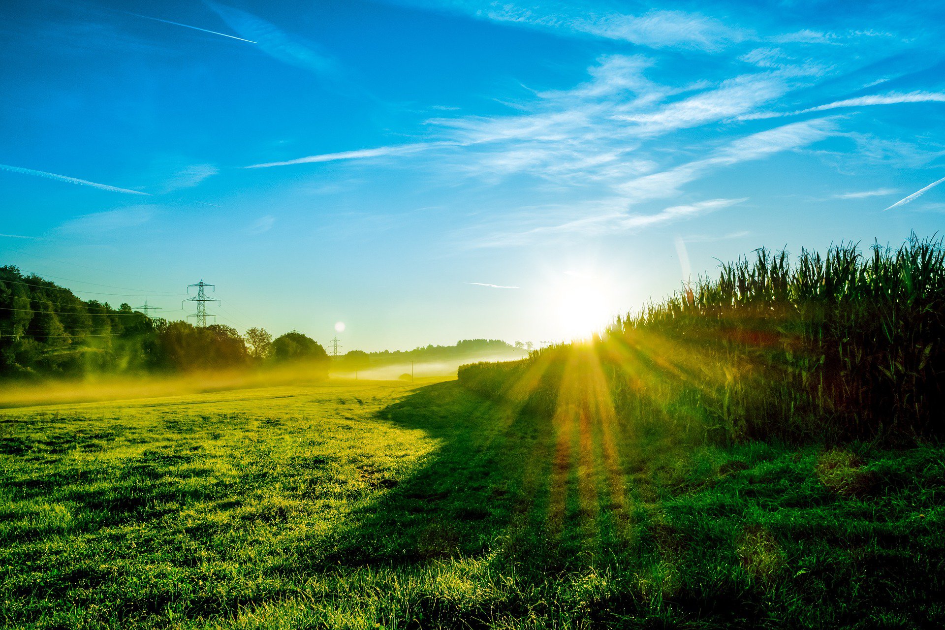 The weather is finally warming up. But it comes with an ‘extreme’ hay