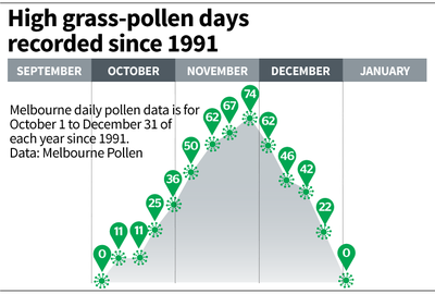 Pollen graph